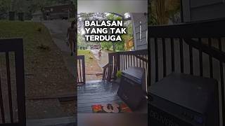 Balasan yang tak terduga shortvideo [upl. by Nuy256]