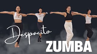 Zumba Dance  Despacito [upl. by Ahsimit637]