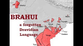 Brahui  A Dravidian Language [upl. by Atterol]