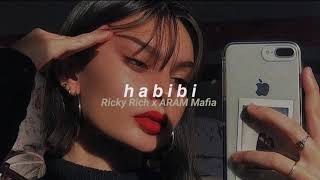 Ricky Rich x ARAM Mafia  Habibi slowed  reverb [upl. by Aman]