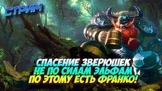 shorts Франко и рейтинг млбб mobilelegends  СТРИМ MOBILE LEGENDS [upl. by Liva900]