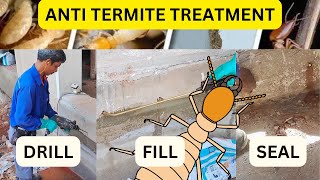 Anti Termite Treatment Everything You Need to Know [upl. by Eessac]