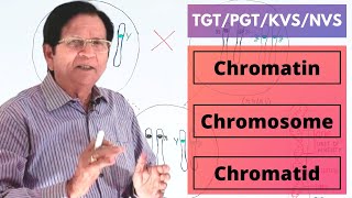 Chromatin Chromosome amp Chromatid  TGTPGTKVSNVS [upl. by Theodosia]