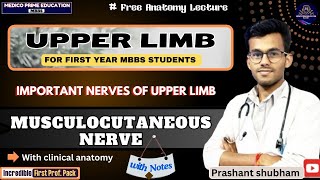 Musculocutaneous Nerve  Nerves of upper limb  Branches of musculocutaneous nerve mbbs [upl. by Neraj]