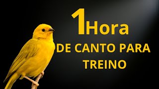 Canário da Terra Cantando Canto Para TREINO [upl. by Ydurt]