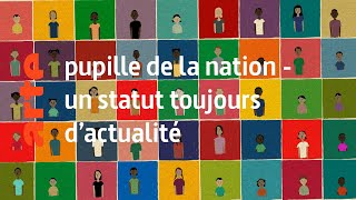 pupille de la nation un statut toujours dactualité  Karambolage  ARTE [upl. by Atikahs]