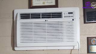 LG 10000 BTU Through the Wall Air Conditioner Buying Guide [upl. by Adonis775]