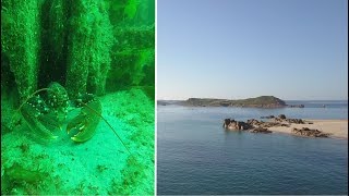 Saison des araignées en baie de Lannion [upl. by Tan]