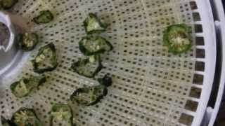 How to Dehydrate Jalapeno Peppers [upl. by Anoblav]