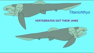 VERTEBRATES GOT THEIR JAWS song [upl. by Leahicm]