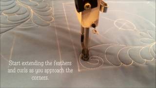 Quilting a freemotion feather and swirl wreath tips and tricks [upl. by Anoirb424]