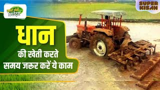 गीली मचाई क्यों करें और क्या फायदा  Importance of Puddling in Paddy Crop  Maschio rotopuddler [upl. by Jammie]