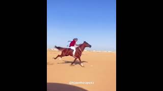 Hippotherapy Horse riding horsevideo horseride horserider horses horse funny sporthorses [upl. by Llessur]