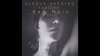 Aldous Harding  Horizon Raw Main Edit [upl. by Ailahs]