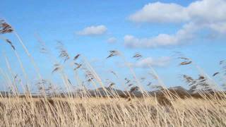 Bogoroditse Devo Rachmaninoff — Choir of Wells Cathedral [upl. by Gorden656]