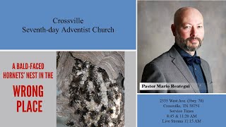 March 9 2024  quotA BaldFaced Hornet Nest in the Wrong Placequot Pastor Mario [upl. by Schoenfelder]