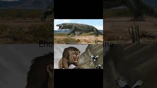 Megalania vs Sambir Lion apexpredator prehistoric paleontology lizard lion battle fighting [upl. by Gayle]