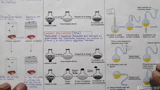 Teoría de la biogenesis [upl. by Stodder922]