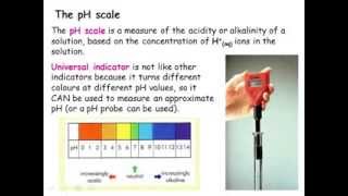 IGCSE Chemistry Acids Bases and Salts [upl. by Lynna359]