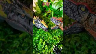 Indominus Rex Vs Indoraptor Roar dinosaurs shorts [upl. by Dimitry]