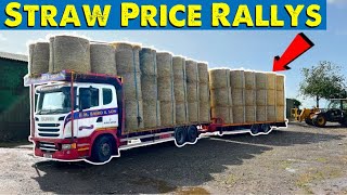 Price Jump For Straw  Cows Ready For Calving [upl. by Annaiv]