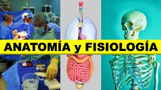 👉 ¿Que es la ANATOMÍA y FISIOLOGÍA humana 🦴🧠👨‍🎓 [upl. by Abernathy]