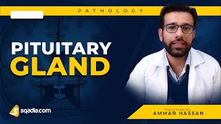 Pituitary Gland  5 Posterior Pituitary Disorders  Pathology Video Lecture  VLearning [upl. by Ayotol]