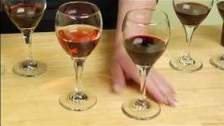 Types of Red Wine  Zinfandel Wine Facts [upl. by Maples]