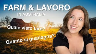 LAVORO in AUSTRALIA FARM GUADAGNO e tutto quello che devi sapere [upl. by Arteid]