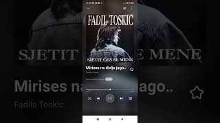 FADIL TOSKIC  Mirises na divlje jagode [upl. by Cruce]