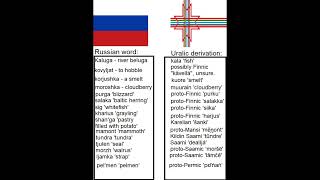 FinnoUgric loanwords in Russian Uralic Russian Finnish Komi Saami [upl. by Wilde]