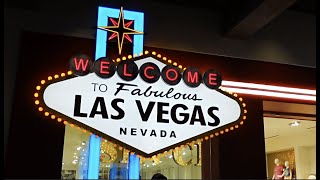 Traveling with Kids to Las Vegas 48 hours [upl. by Nellahs]