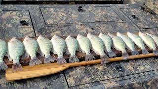 Sardis Lake Crappie Trip 11423 Single pole wLivescope [upl. by Ellehcyar717]