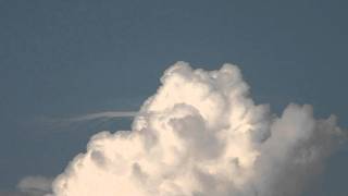 pileus timelapse [upl. by Awjan260]