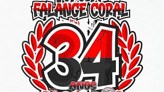 ESPECIAL FALANGE CORAL [upl. by Nodnyl]