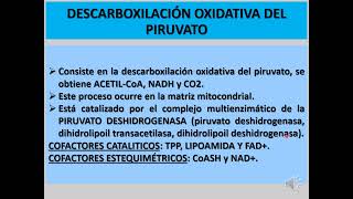 DESCARBOXILACIÓN OXIDATIVA DEL PIRUVATO [upl. by Caputto]