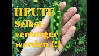 10 Tipps wie du noch HEUTE Selbstversorger werden kannst [upl. by Nissa262]