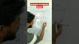 Mechanisms of Esterification ReactionClass11 12 Board exam [upl. by Remas437]