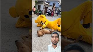 Teddy bear and dog love teddybear teddybeardance funny comedy masudranavai [upl. by Akimert]