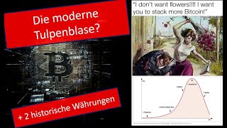 Ist Bitcoin die morderne Tulpenblase [upl. by Rabi25]