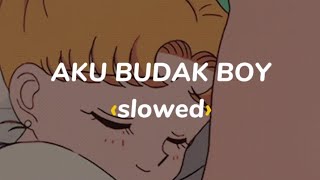 AKU BUDAK BOY  Elvin Romeo ‹slowed› [upl. by Ahsaret979]