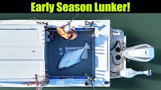 Early Season Lunker Alaskan Halibut Fishing  Juneau Alaska APRIL 2024 bigfish alaska fishing [upl. by Llenroc493]