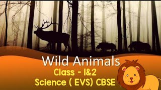 Wild Animals  Grade II EVS [upl. by Kreegar228]