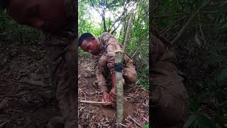 alanhdva trap bushcraft alanhdva [upl. by Benisch]