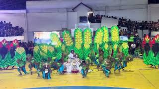 WaraWara Festival Dance of Contingent No1 [upl. by Bond622]