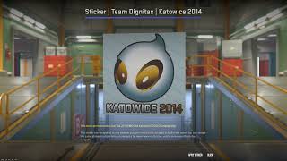 Стоит ли инвестировать в наклейки Katowice 2014 Sticker  Team Dignitas  Katowice 2014 [upl. by Myca628]