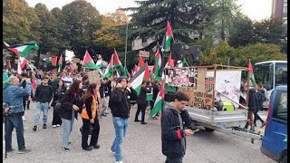 Guardando la manifestazione di Udine [upl. by Leihcar634]