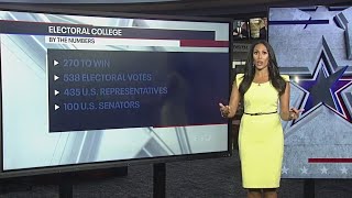 Election Day How does the electoral college work [upl. by Alvira36]