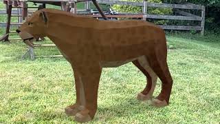 More Facts about the Saber Tooth Cat and pictures of Smilodon in Augmented Reality in 2 forms [upl. by Ahsener]