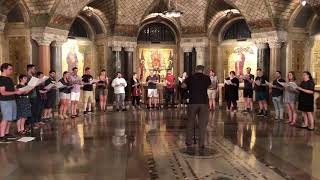 Choir of the Basilica Sicut Cervus [upl. by Leroy]